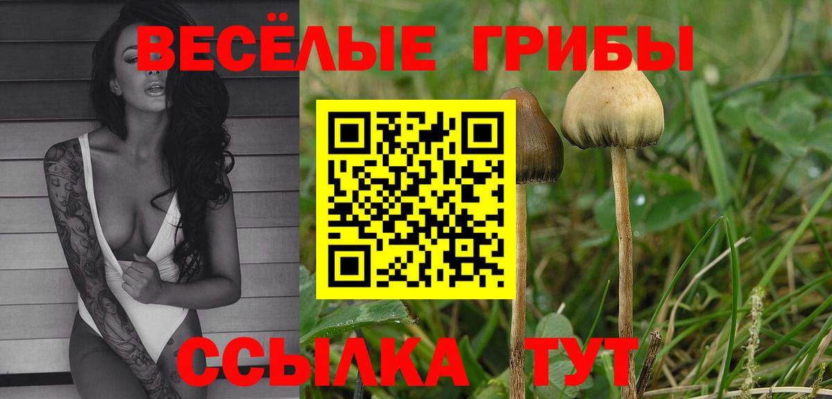Галлюциногенные грибы ЛСД  дарнет шоп  Череповец  Вход с VPN 